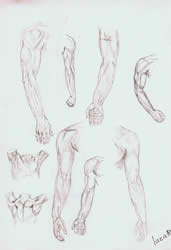 Arm study | pencil on paper - 12 x 8 inch